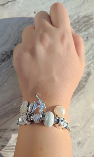 Pandora Charm Bileklik Çelik Silver